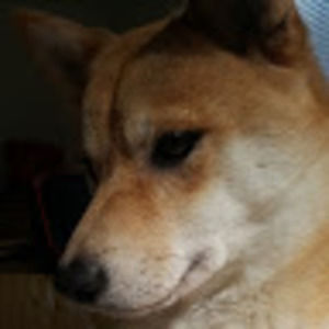 Meet your Posher, M.